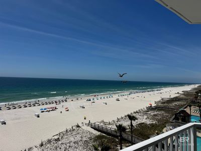 24114 Perdido Beach Blvd APT 704