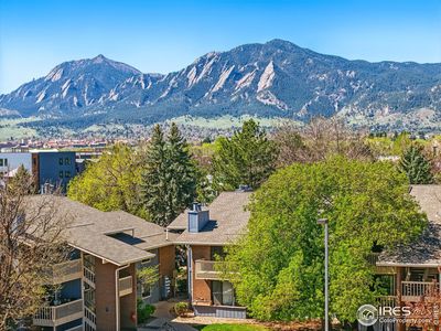 2800 Kalmia Ave #C203