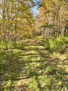 Property at 149 Rusk Mountain Rd, West Kill, NY