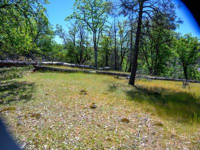 Property at 230 Shasta Springs Rd, Weaverville, CA