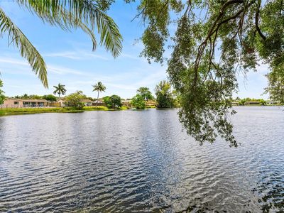 8956 Palm Tree Ln #8956