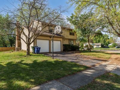 3955 Daffodil Dr