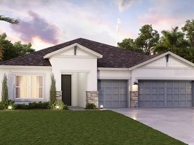 322 STETSON RISE COURT