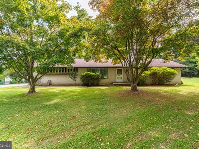 379 Dale Ave