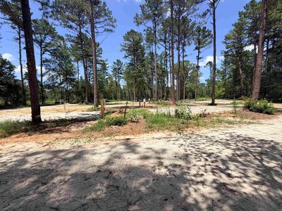 5681 An County Rd #153
