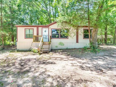 317 County Road 1410