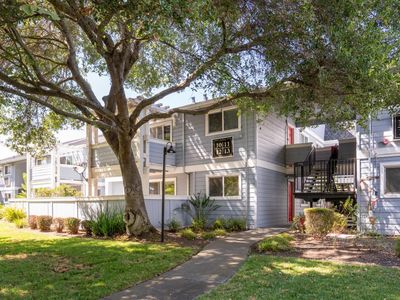 225 Burt Street #10