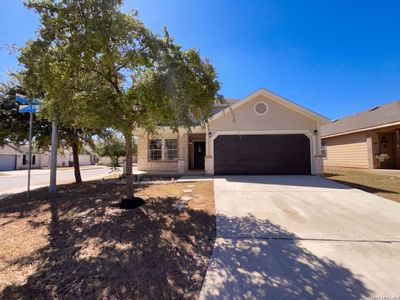 8407 Silver Willow