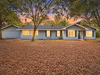 102 Old Pecan