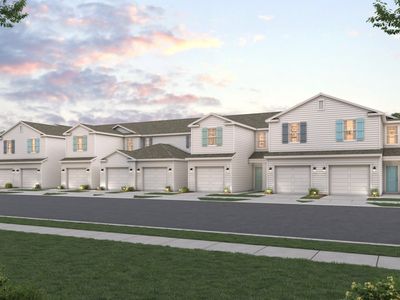 186 Brazil Nut Cir
