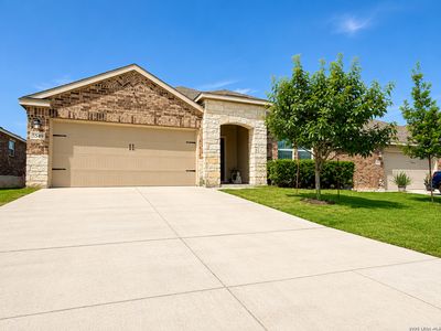 5549 Black Walnut