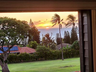 50 Puu Anoano St APT 2802
