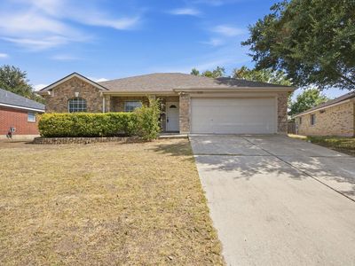 3005 Sugar Berry Cv
