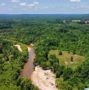 1565 County Road 103