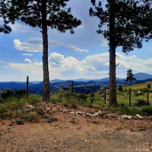 Property at 594 Hi Meadow Drive, Bailey, CO