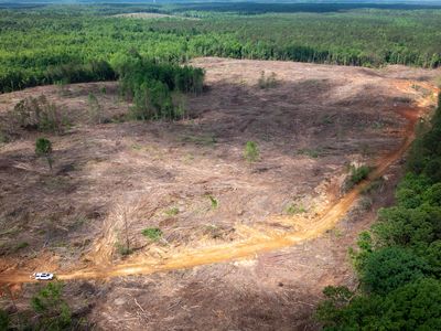 Property at 0 Athens Quincy Rd, Aberdeen, MS