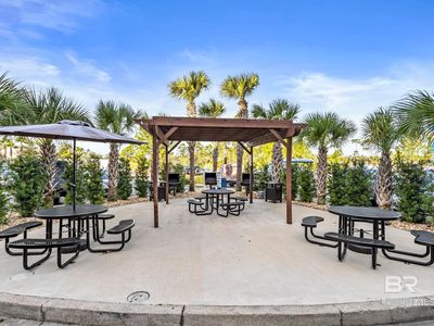25805 Perdido Beach Blvd #316