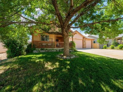 Property at 905 Scotch Pine Dr, Severance, CO