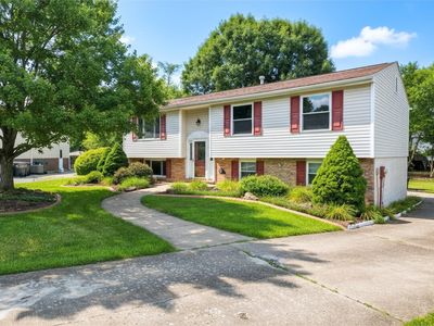 313 Meadow Dr