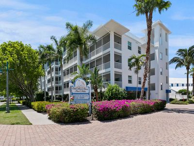 140 Palm St #413