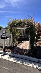 407 Pine Street