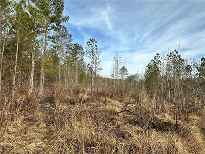 Property at 0 Satcher Rd #1, Taylorsville, GA