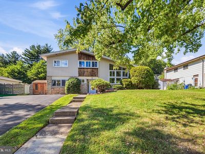 38 Red Rowan Ln