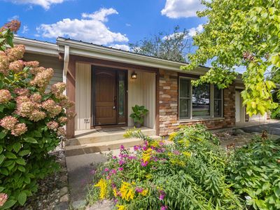 N1549 Bluebird DRIVE