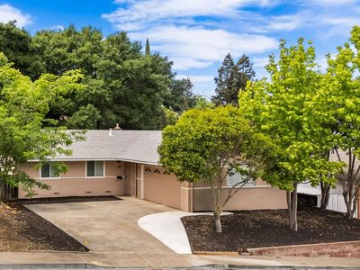 359 Rollingwood Drive