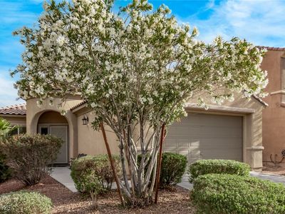 3005 Dotted Wren Ave