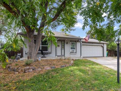 8427 Blue Grama Court