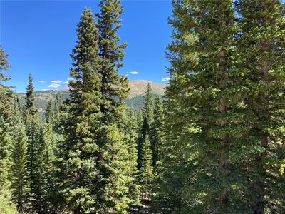 Property at 1612 Roberts Rd, Alma, CO