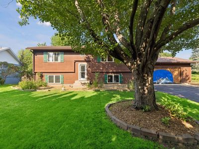 818 Pine Tree Trl