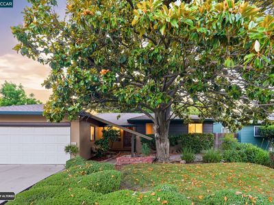 1161 Aspen Dr
