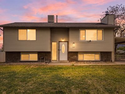 837 E Carnation Dr