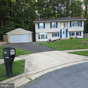 10313 King Richard Pl
