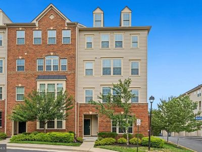 26052 Braided Mane Ter