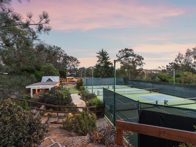 11670 Tierra Del Sur