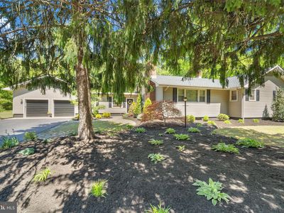 37 Skeet Rd