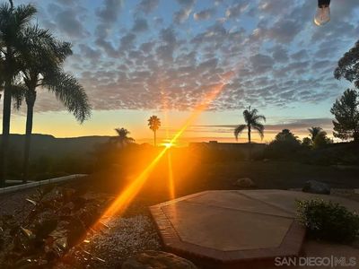 2237 Eucalyptus Ave