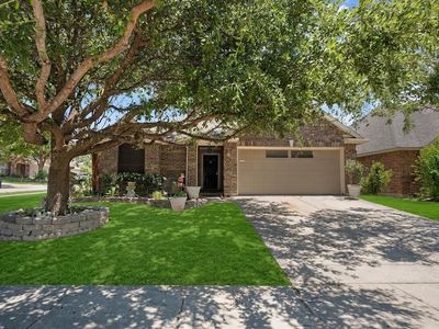 10032 Chrysalis Dr