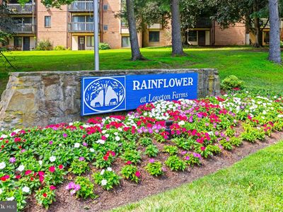 16 Rainflower Path Unit 202