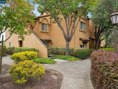 460 Bollinger Canyon Ln APT 184