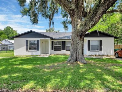 251 N PLANT STREET
