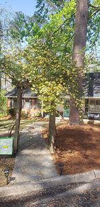 3369 Braeswood Ct