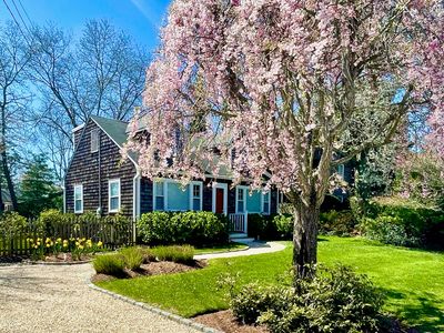 41 Cove Dr
