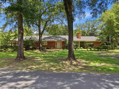 31 Longmeadow