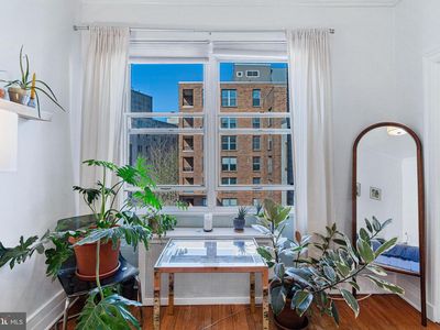 1734 P St NW APT 53