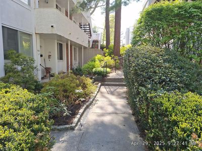 523 Colony Drive