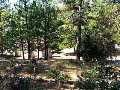 115-111 Ponderosa Way
